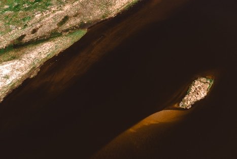 Miško Takas 57. Nemunaitis – Alytus.