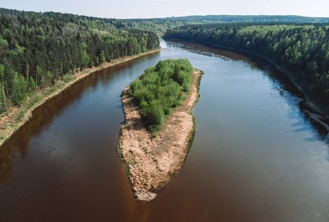 Miško Takas 57. Nemunaitis – Alytus.