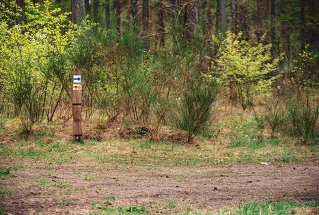 Miško Takas 57. Nemunaitis – Alytus.