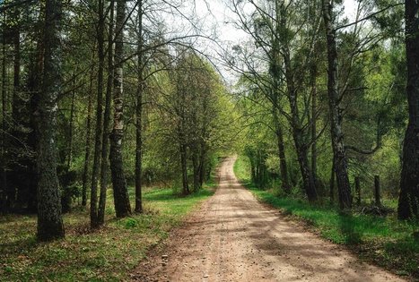 Miško Takas 57. Nemunaitis – Alytus.