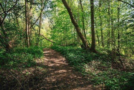 Miško Takas 57. Nemunaitis – Alytus.