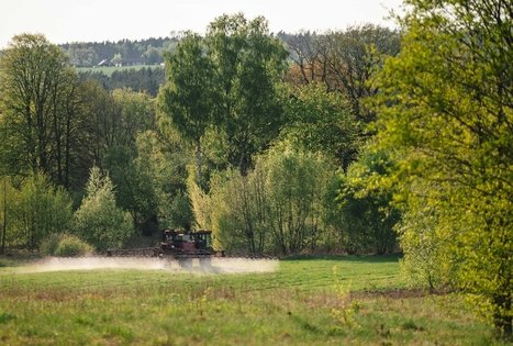 Miško Takas 58. Alytus – Panemunis.