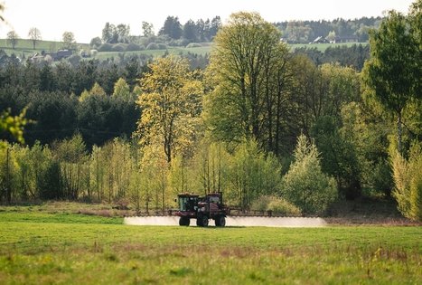 Miško Takas 58. Alytus – Panemunis.