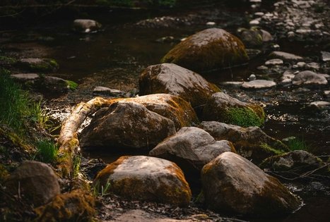 Miško Takas 58. Alytus – Panemunis.