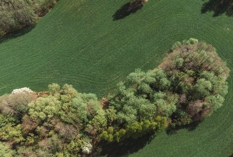 Miško Takas 58. Alytus – Panemunis.