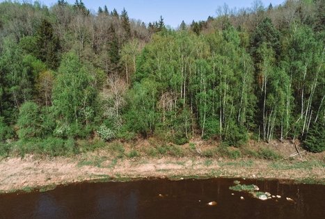 Miško Takas 58. Alytus – Panemunis.