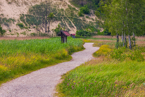 Kuršių nerija: unikalus smėlio kopų pusiasalis