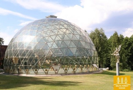 Merkinės bioenergetinė piramidė