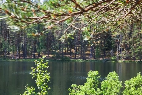 Pažink Labanorą! - pėsčiųjų žygis po Labanoro regioninį parką