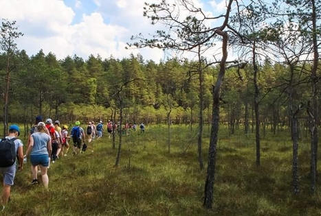 Sodyba „Stirnelės viensėdis“