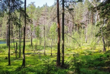 Pažink Labanorą! - pėsčiųjų žygis po Labanoro regioninį parką
