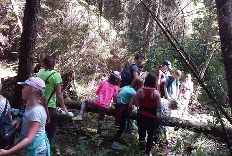 Pažink Labanorą! - pėsčiųjų žygis po Labanoro regioninį parką