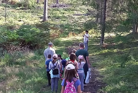 Pažink Labanorą! - pėsčiųjų žygis po Labanoro regioninį parką