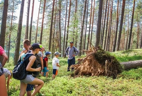 Pažink Labanorą! - pėsčiųjų žygis po Labanoro regioninį parką