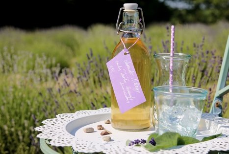 Ekskursija ir degustacija Lavender Village ūkyje