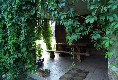 Nijolės Čepienės sodyba