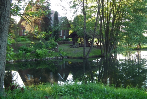 Nijolės Čepienės sodyba