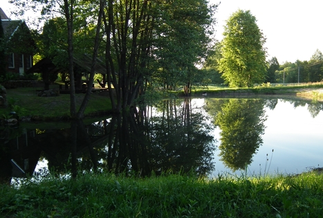 Nijolės Čepienės sodyba