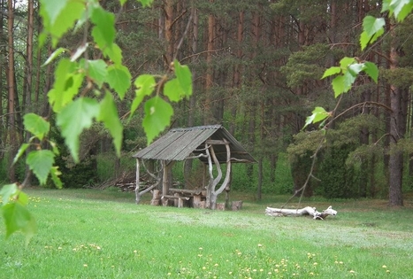 Nijolės Čepienės sodyba