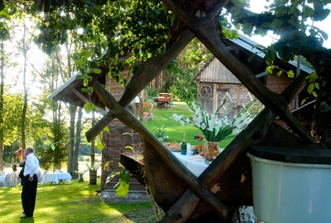 Sodyba „Violetos ranča“