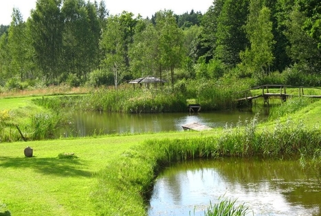 Sodyba „Ąžuolų giria“