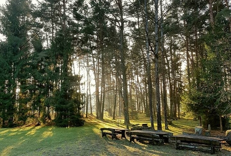 Sodyba „Ąžuolų giria“