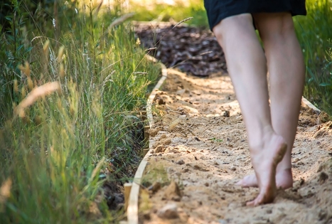 Basakojų takas Survilų kaimo turizmo sodyboje