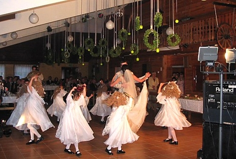 Audos Peimienės sodyba „Pušyno stovykla“