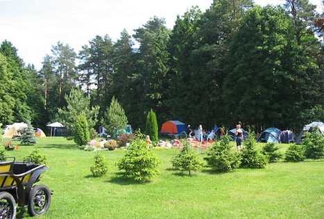 Audos Peimienės sodyba „Pušyno stovykla“