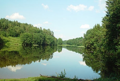 Sodyba „Altonė“