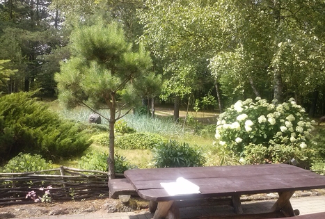 Sodyba „Altonė“