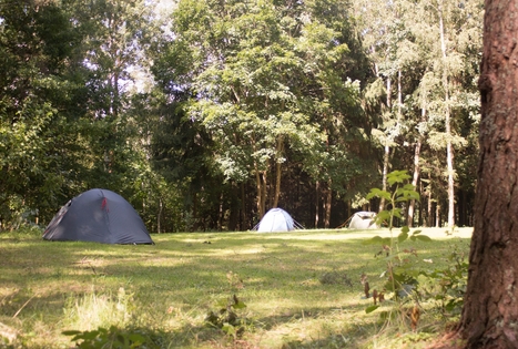 Sodyba „Altonė“