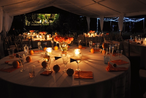 Sodyba „Altonė“