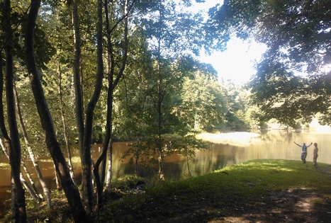 Sodyba „Altonė“