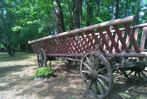 Sodyba „Altonė“