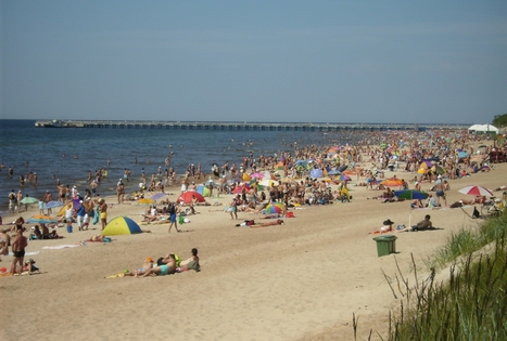 Sodyba „Nemuno turas“