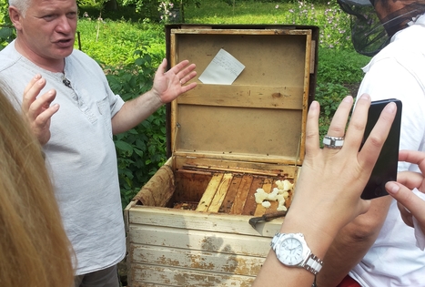 Sodyba „Šušvė“