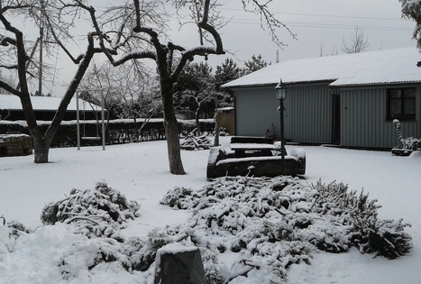 Genės Gečienės sodyba