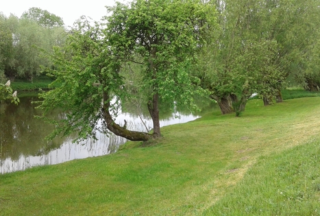 Genės Gečienės sodyba