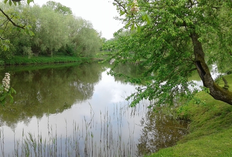 Genės Gečienės sodyba
