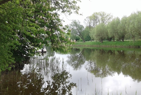 Genės Gečienės sodyba