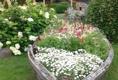 Genės Gečienės sodyba