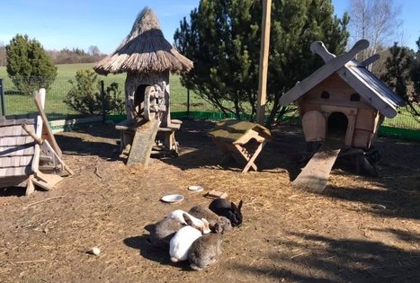 Etnografinės pirties nuoma