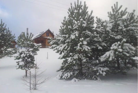 „Įlankos sodyba“