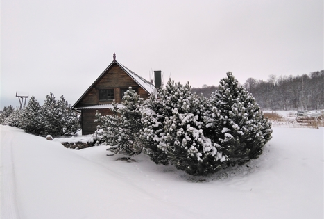 „Įlankos sodyba“