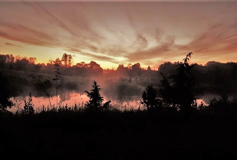 Felikso Laivio sodyba