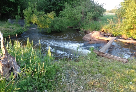 Felikso Laivio sodyba