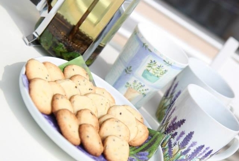 Ekskursija ir degustacija Lavender Village ūkyje