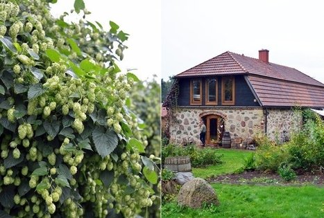 Arbatų degustacijos sodyboje „Apynių namai“