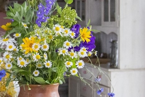 „Bitutės“ sodyba